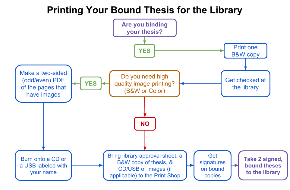 Phd dissertation picture