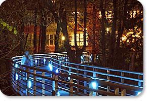 bridge image