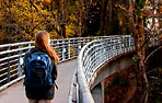 Canyon Bridge