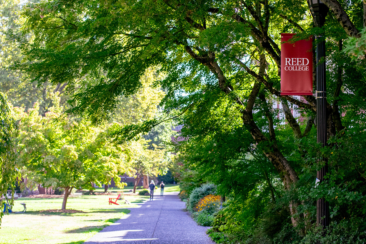 The sidewalk south of Old Dorm Block, canopied in leafy tree branches on a sunny day with two Reed College students walking on it in the distance