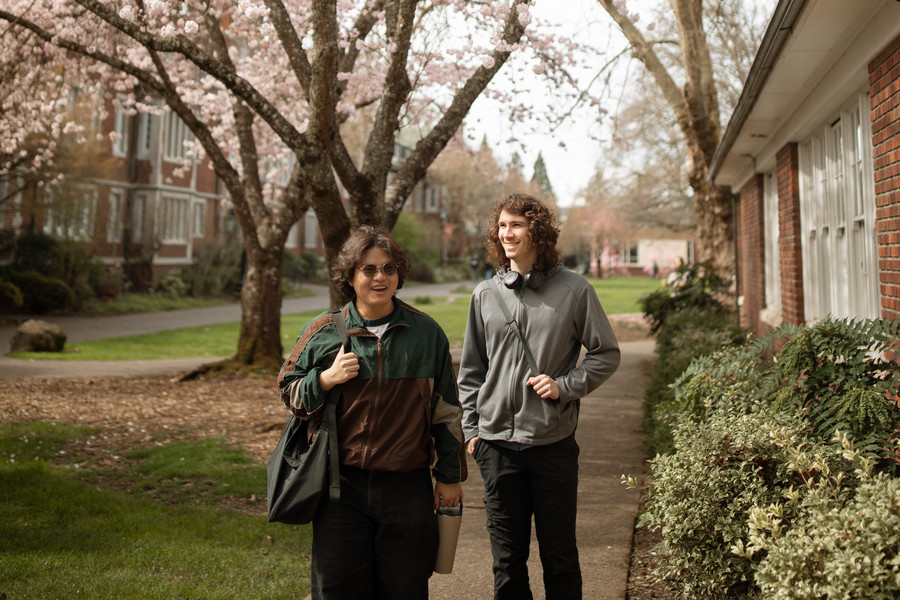 Two students are walking under the cherry blossom trees and the view of the quad is in the background.
