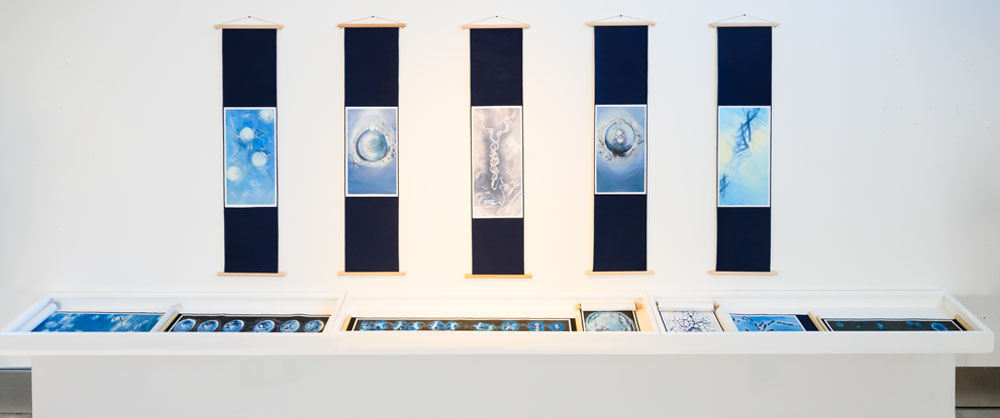 Becoming You, A Journey From A Single Cell あなたになるまで:  image