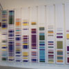 Chromosome Painting, and works from 2009-12 image