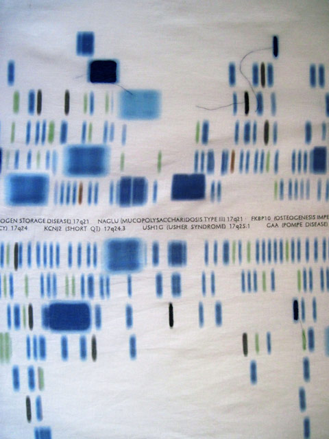 Chromosome 17 image