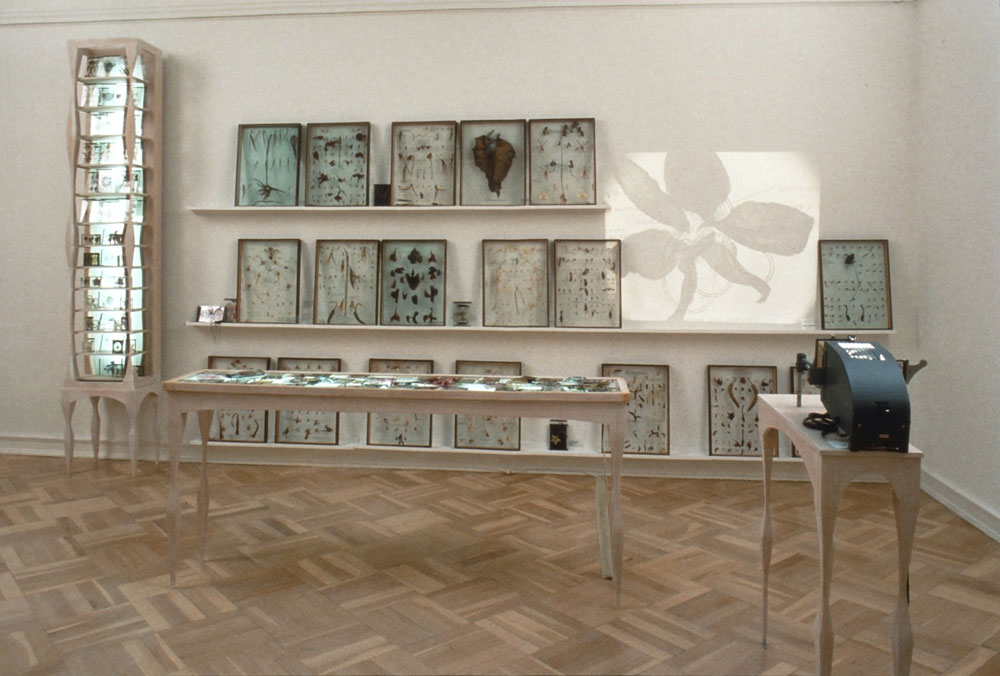 Collectors Chamber image