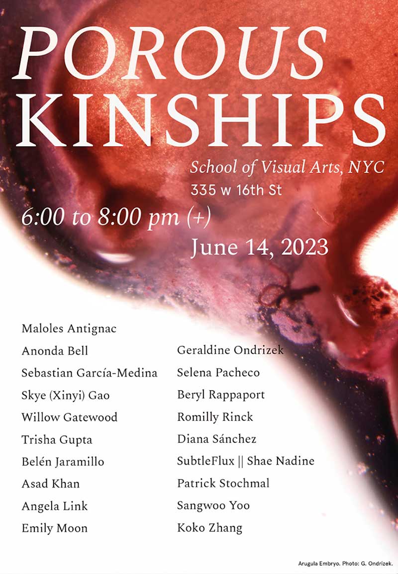 Germination/Gestation image Germination/Gestation image