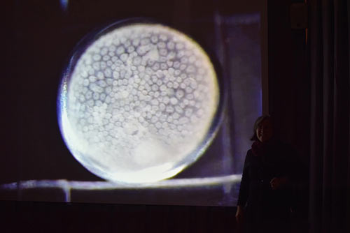 Exo Global image Exo Global image