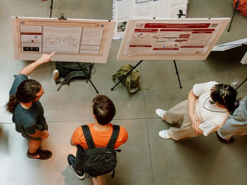Overhead view of three students looking at research posters.