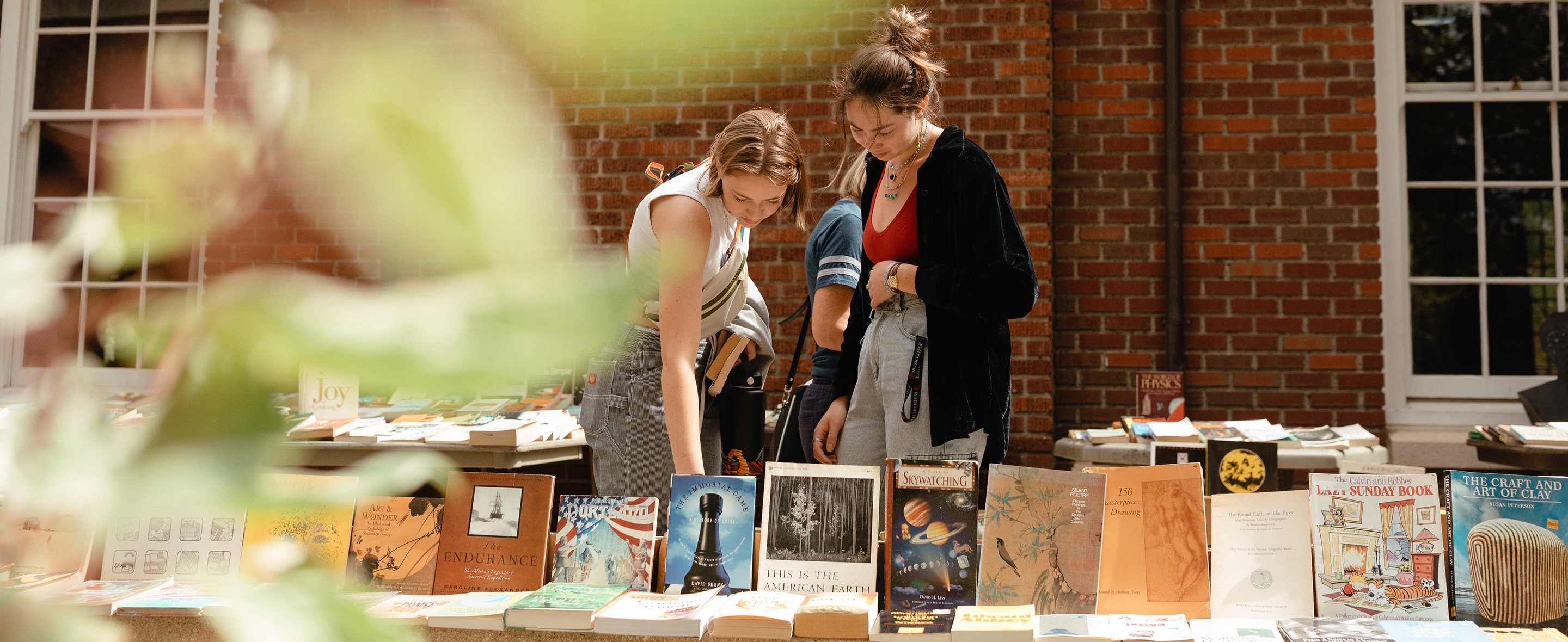 Comparative Literature Major Academics Reed College