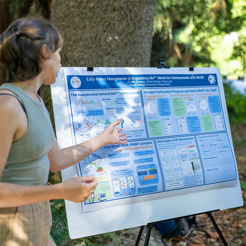 A student explains the details of her poster to others at a chemistry postering session