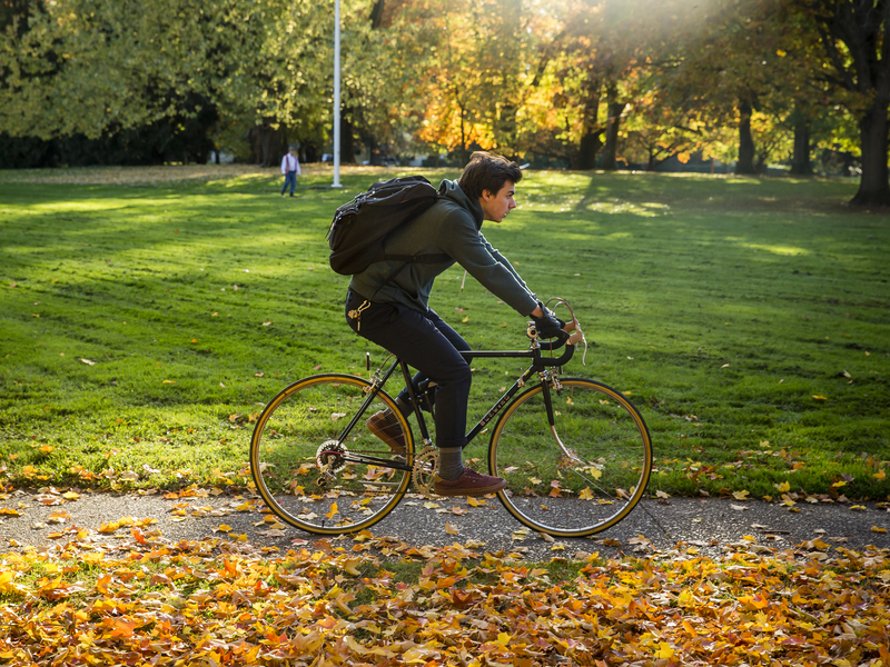  A student rides a bike on a campus sidewalk among green grass and autumn leaves.