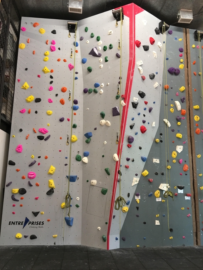 Reed Climbing Wall