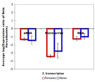 Comparison between three methods of measuring expression levels of β -Parvalbumin in transcriptus image
