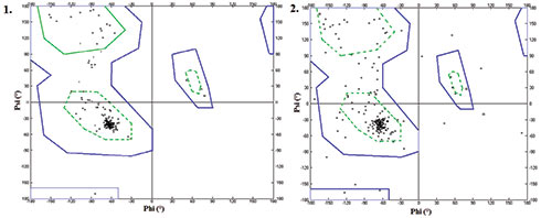  Diagram of homology modeling that shows increased torsional strain.