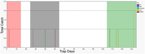 A timecourse of salmonid abundances at three sites image