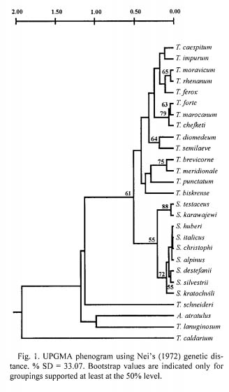 phylogenetictree