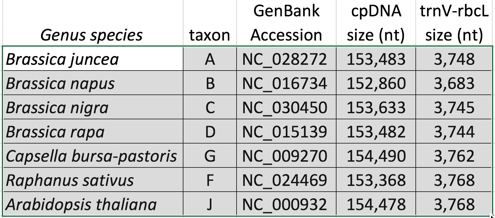 table of GenBank accessions