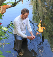 Reed lake flame