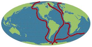Arctic Tern Migratory Routes