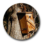 birdhouse image