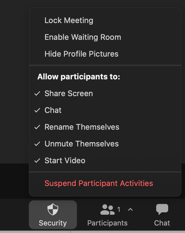 Zoom in-meeting security settings