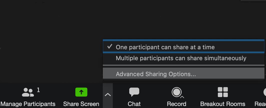 zoom screen sharing options