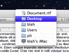 Screenshot of folder tree drop-down menu from application title bar