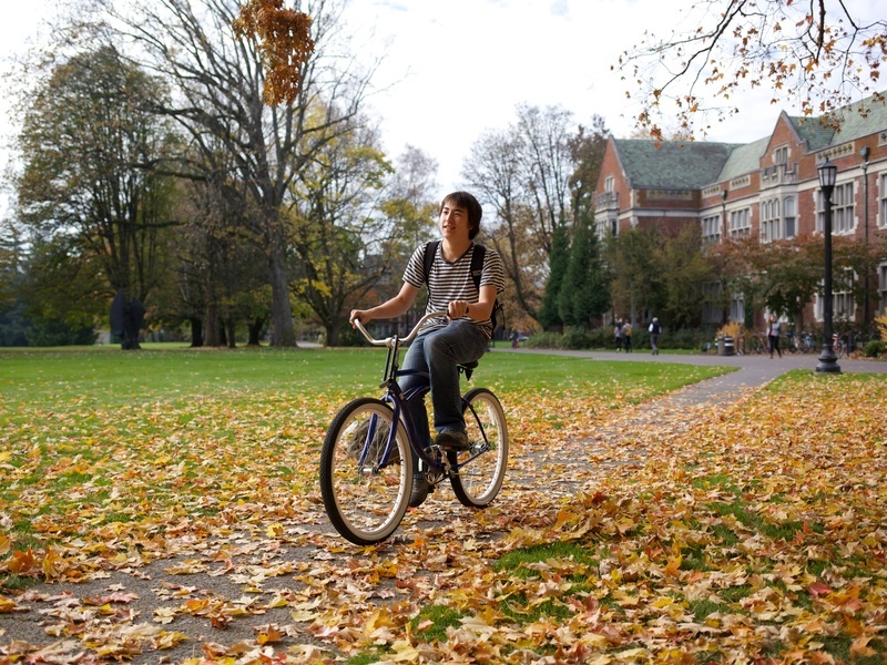 Student riding a bicycle on a sidewalk covered in autumn leaves.