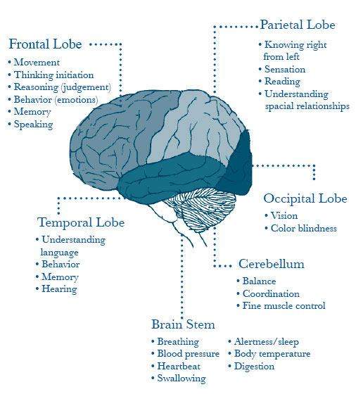 English 333 Theories of Mind