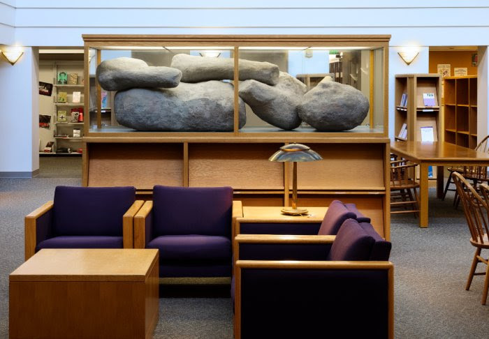 An image of a number of large boulders in a display case in the Reed library.