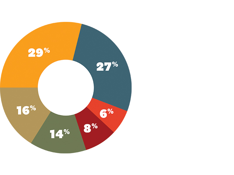 Pie chart with six segments and percentages indicating the six areas that Annual Fund donations support.
