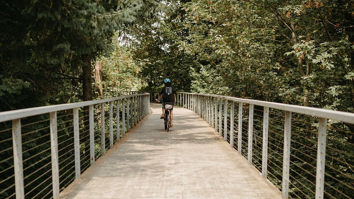 back of person with blue helmet on bicycle on Reed's bouncy bridge