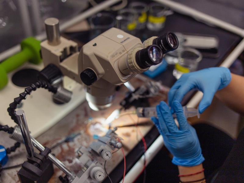 A close-up of a student holding scientific instruments and working with a microscope in a lab.