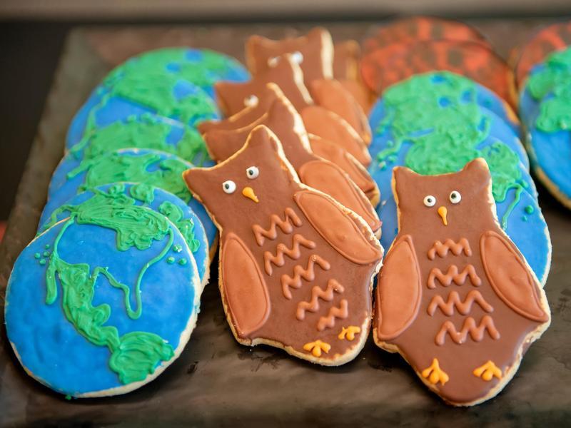 A tray of cookies decorated to look like a globe and an owl.