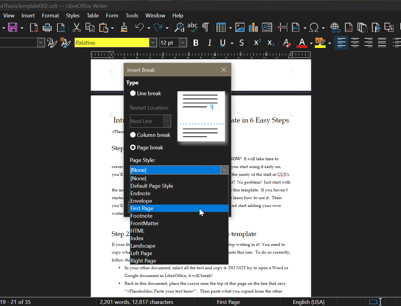Screenshot of the dropdown menu for inserting a break.