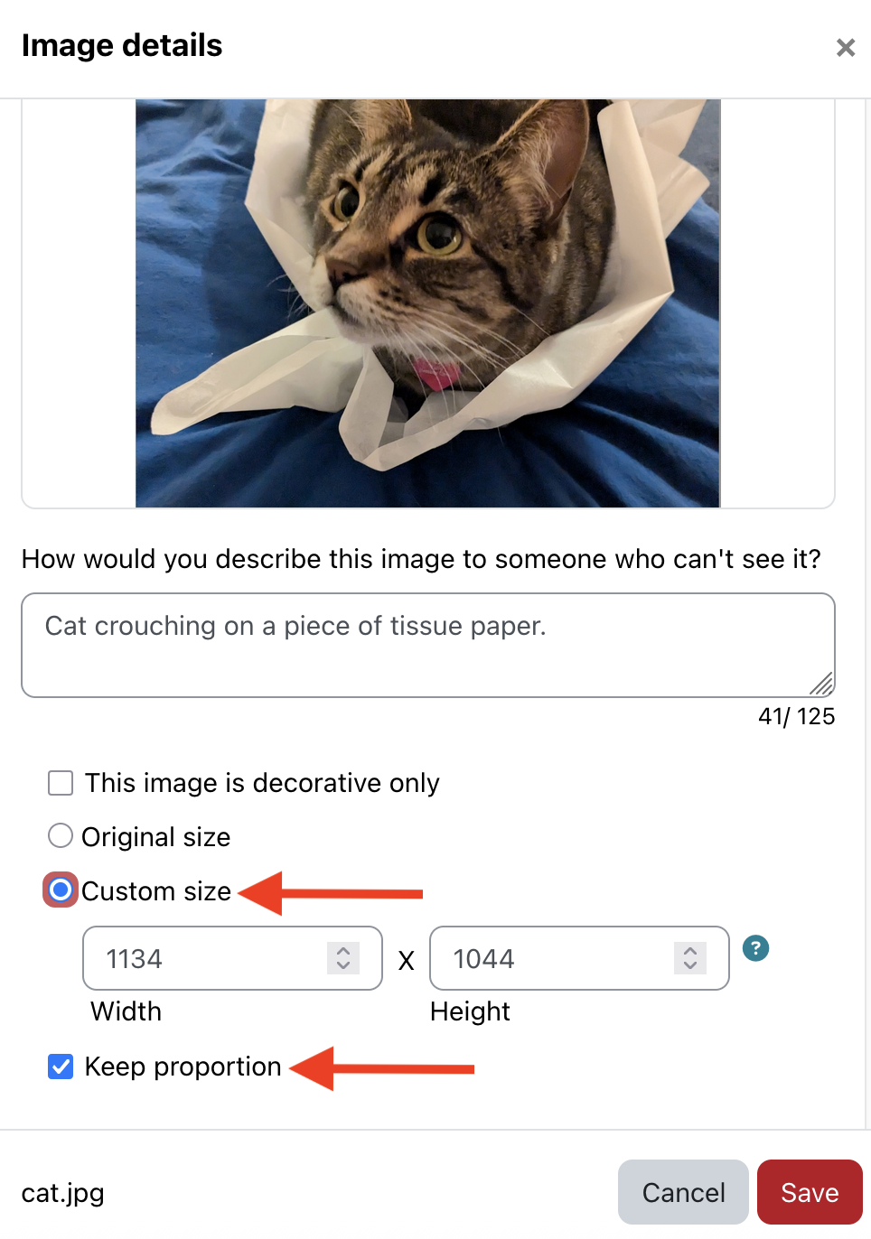Image details window in Moodle showing the Custom size and keep propotion options selected.