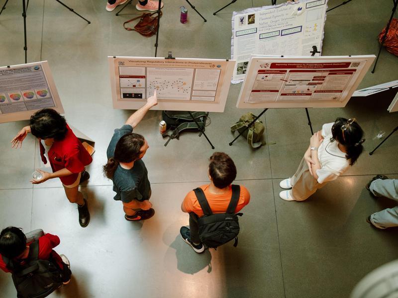 Overhead view of several students presenting research posters.