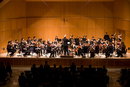 Orchestra concert Spring 08