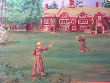 Virginal organ image