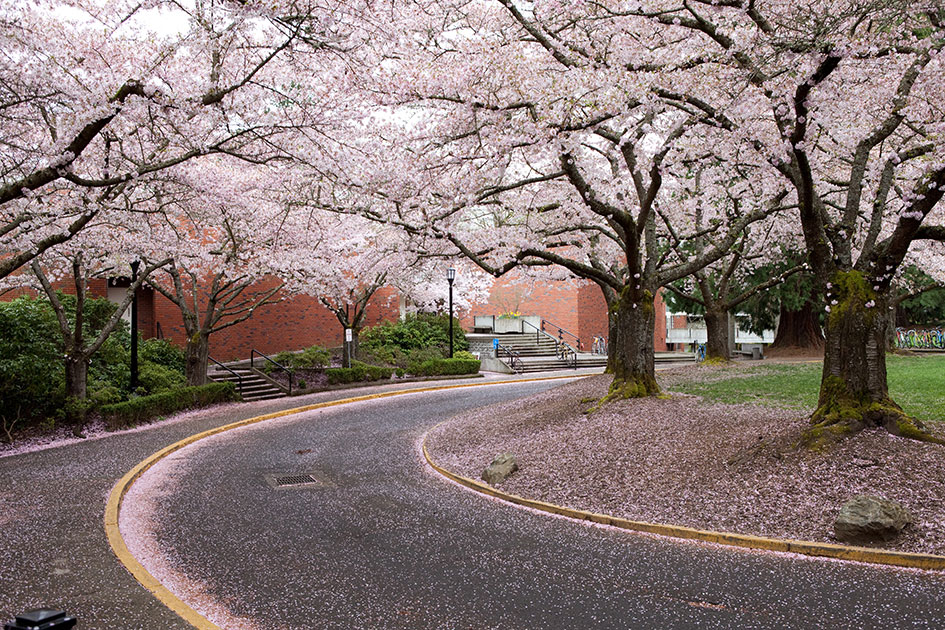 Reed College Professor Prepares for a Fall Full of Music