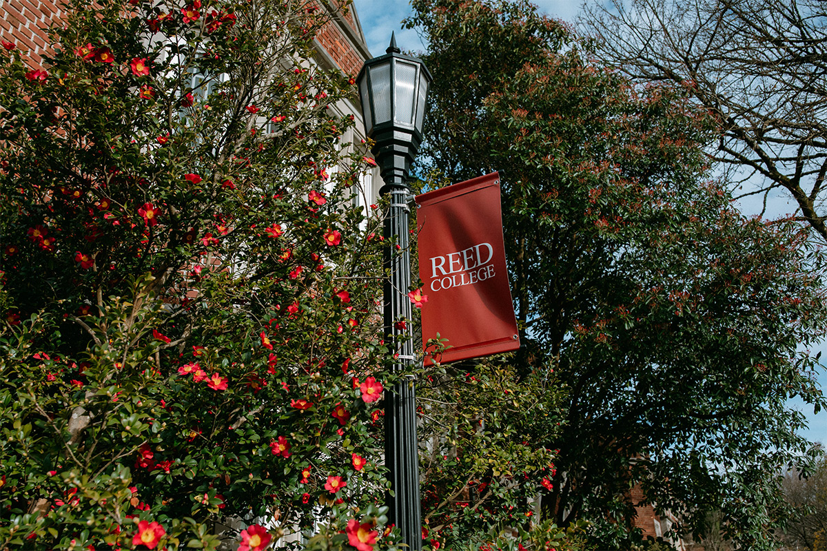 A Reed College banner on the Reed campus near red flowers. 