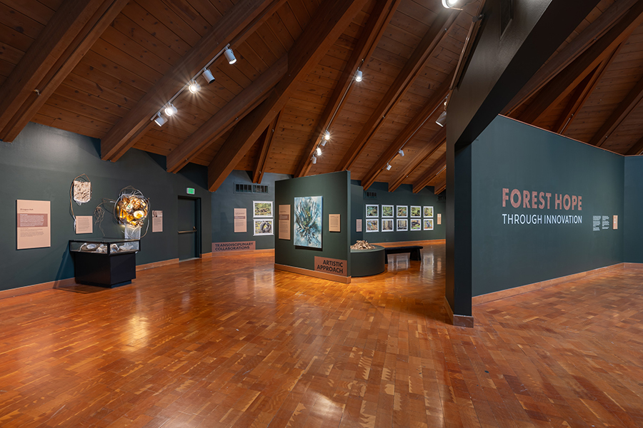 An exhibition of art and science at the World Forestry Center.