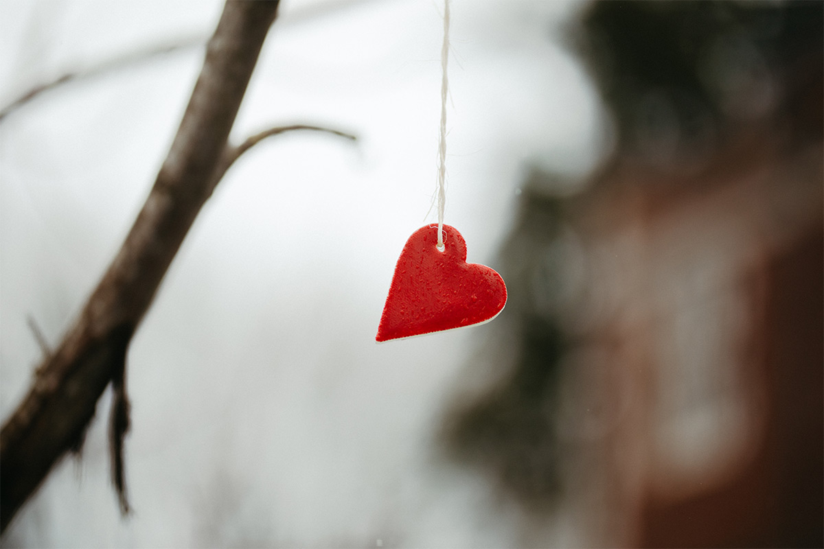 A red heart tied with white twine hangs from a tree on campus.
