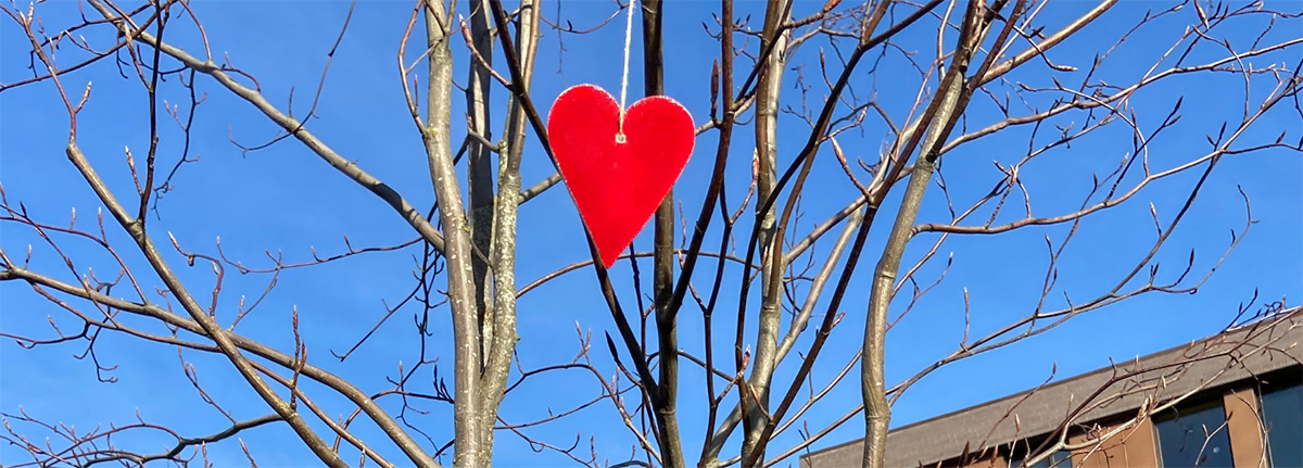 photo of ceramic heart hanging from tree branch