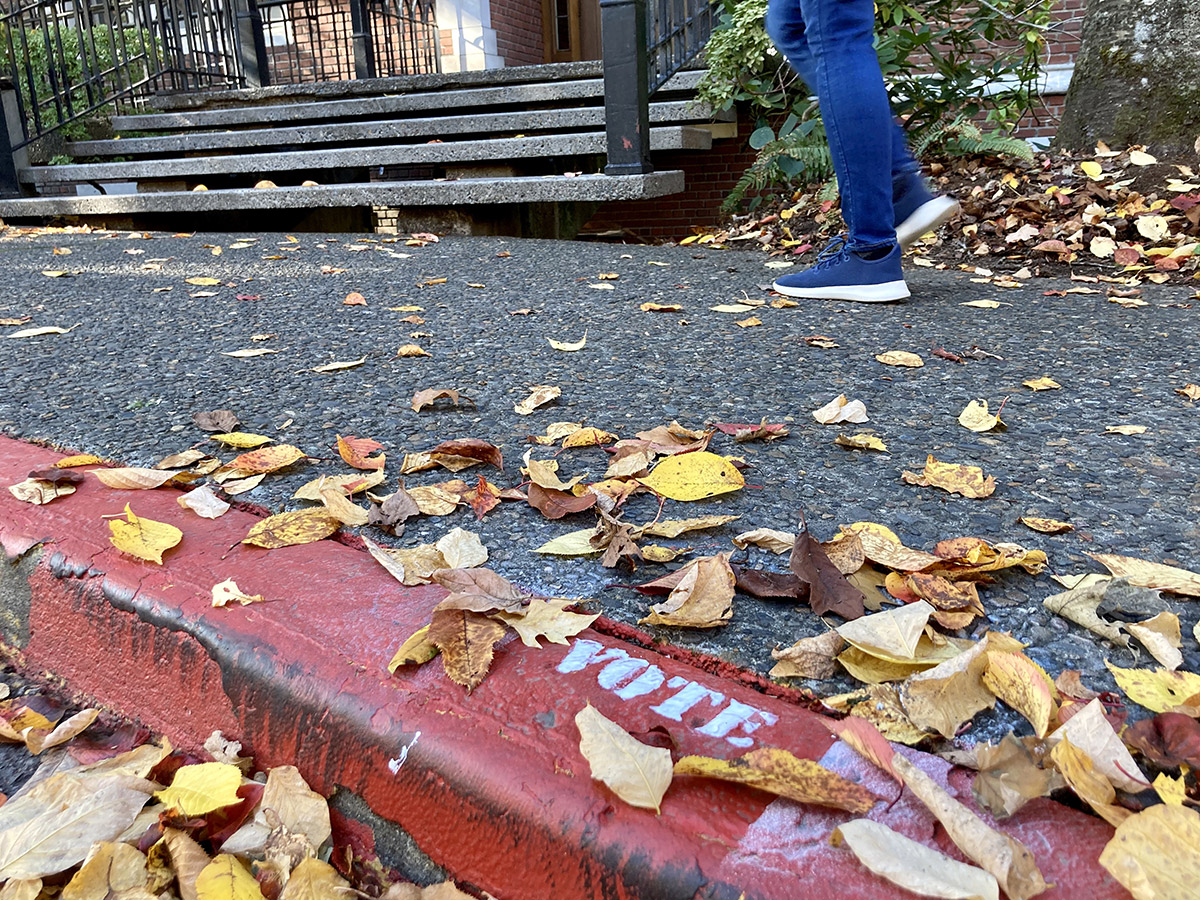 photo of sidewalk outside of Eliot hall with the word VOTE stenciled onto the curb