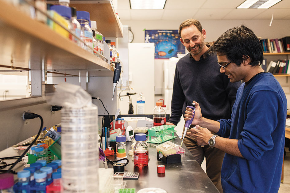 Professor Jay Mellies and bio major Anand Panchal &amp;#8217;13 look at the role of zinc in enteropathogenic E. coli.