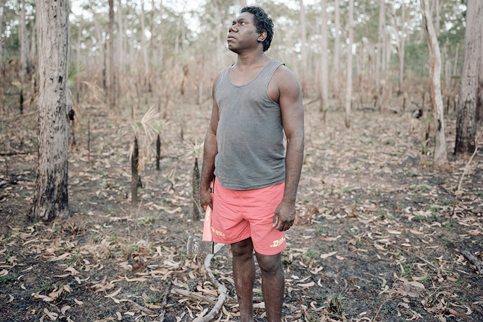 Larry Gurruwiwi, Djalu Gurruwiwi&amp;#8217;s son and possible successor, searches through a eucalyptus grove for the tree trunk he will craft into a didjeridu.