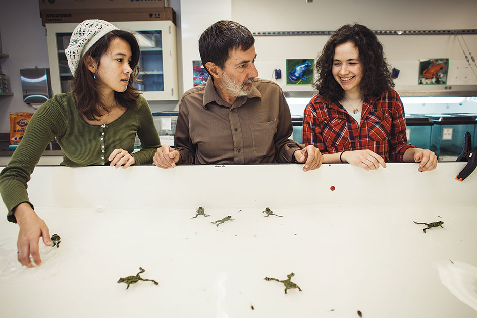 KNOT OF TOADS: Mari Cobb &amp;#8217;16, Prof. Kaplan,&amp;#160; and Taylor Stinchcomb &amp;#8217;14 contemplate a tank of fire-bellied toads (which are technically frogs&amp;#8212;if you need more explanation, ask a bio major).