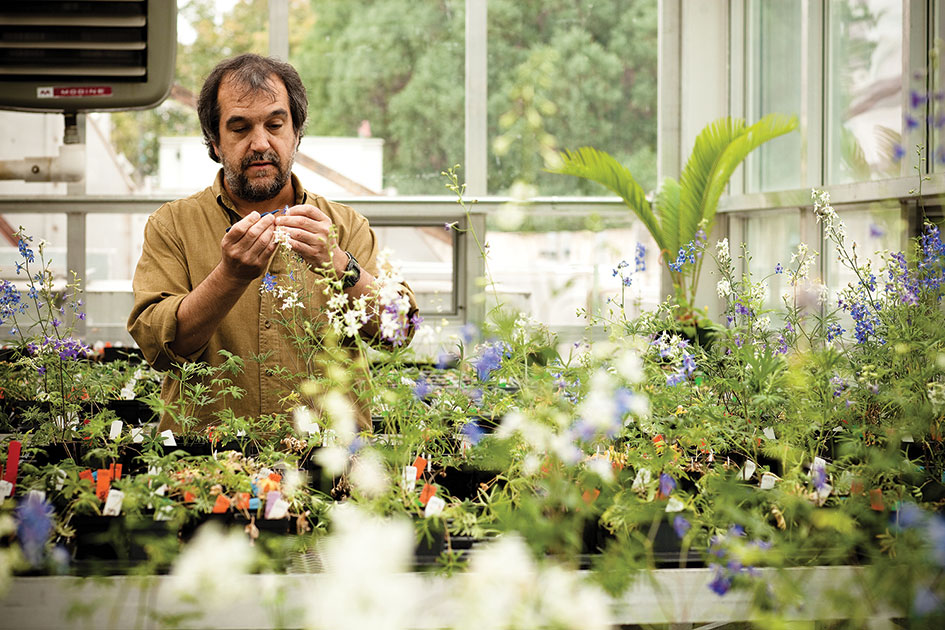 Keith Karoly in Greenhouse