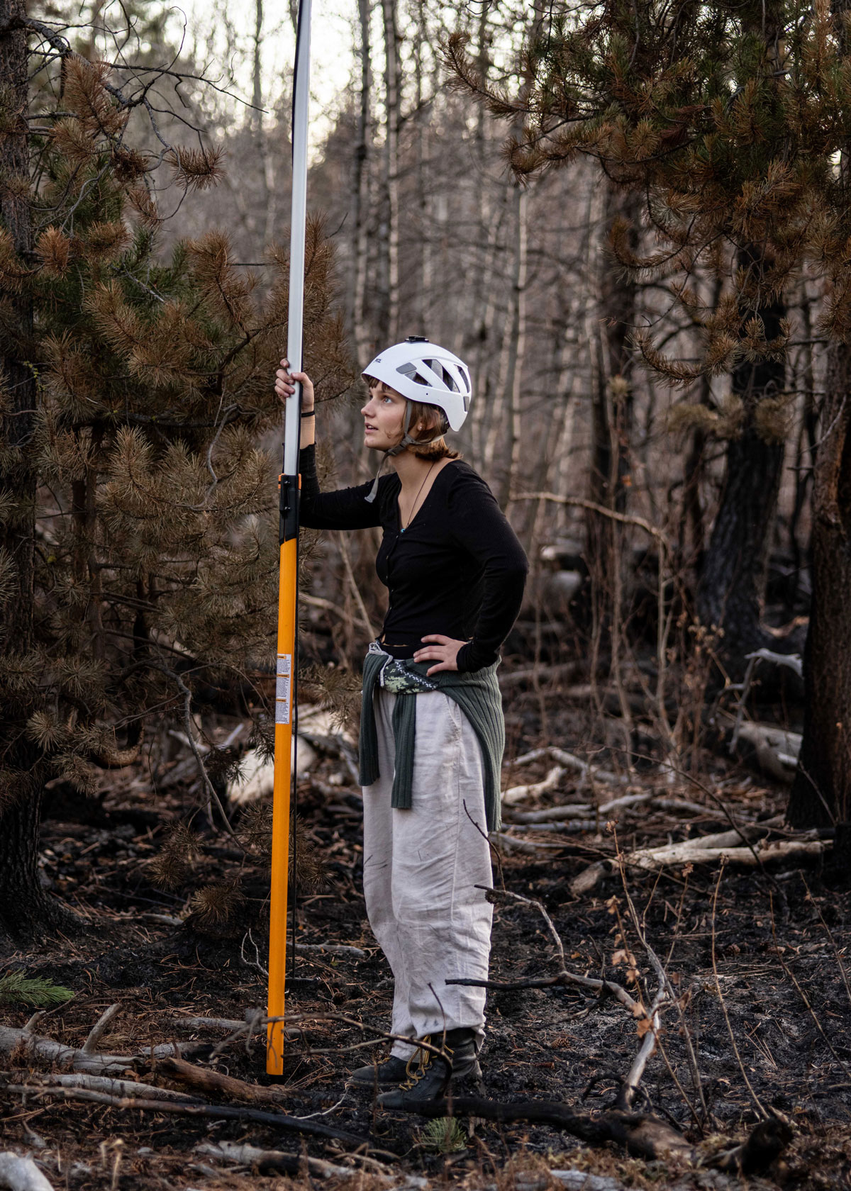 Ariel Patterson ’20 collects branches and soil samples to understand how forests respond to fire and drought. 